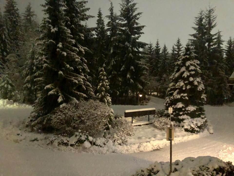 Powderhorn By Whistler Blackcomb Vacation Rentals Εξωτερικό φωτογραφία
